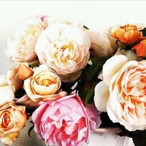 Meet your Posher, Fatima